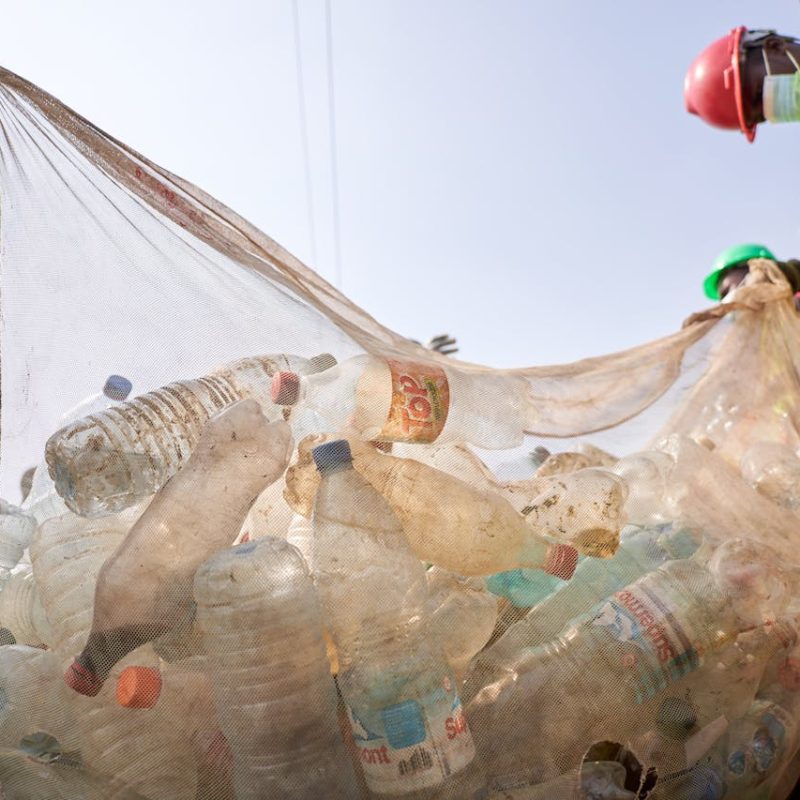 pexels-messina-12492222