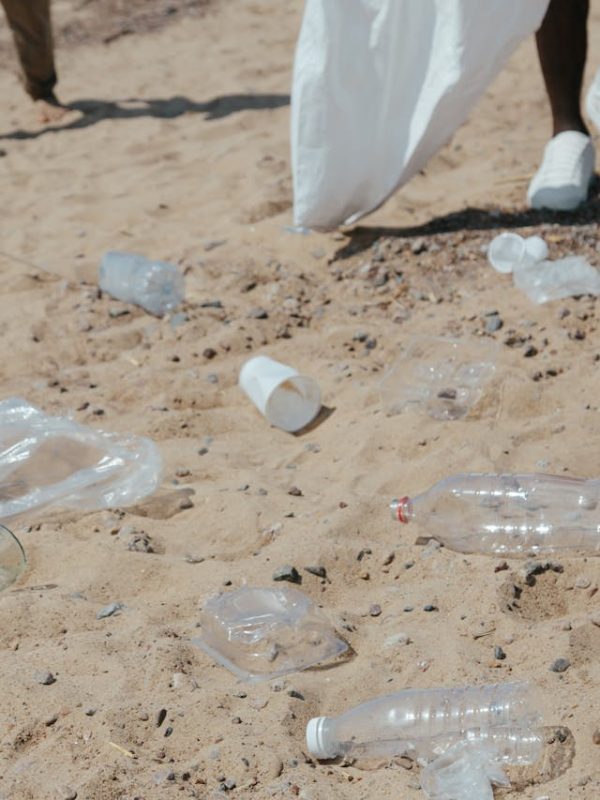 pexels-ron-lach-9034663