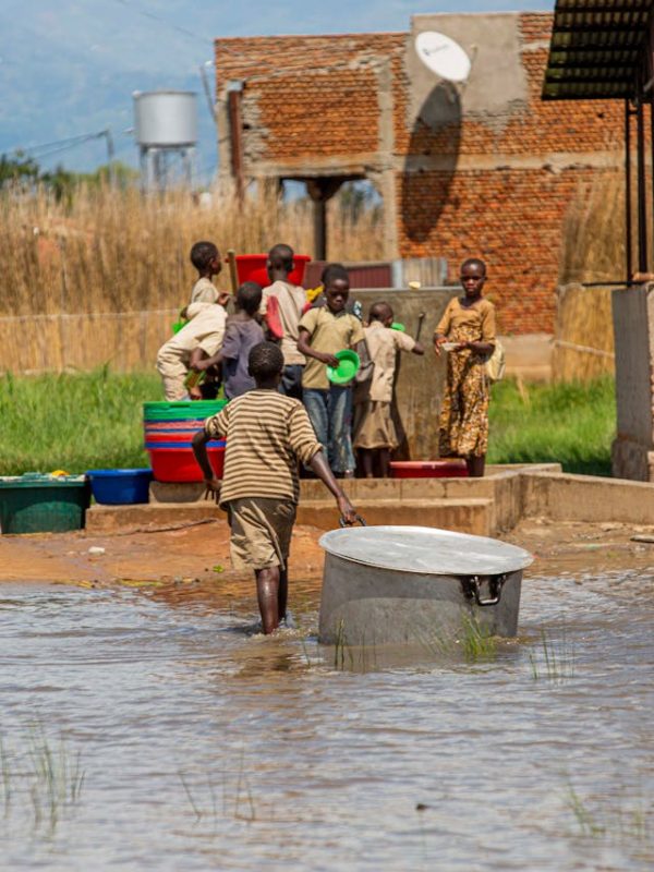 pexels-safari-consoler-3290243-11742874