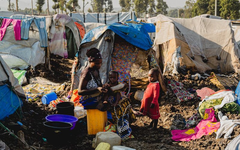 pexels-safari-consoler-3290243-19297742