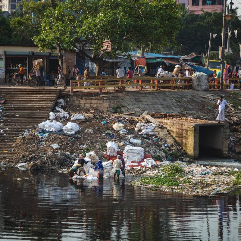 pexels-shardar-tarikul-islam-84327533-9090149